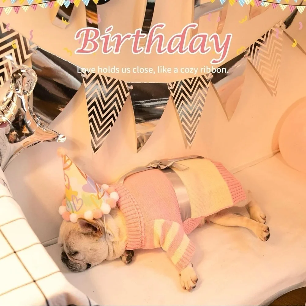 N/A dog sweater